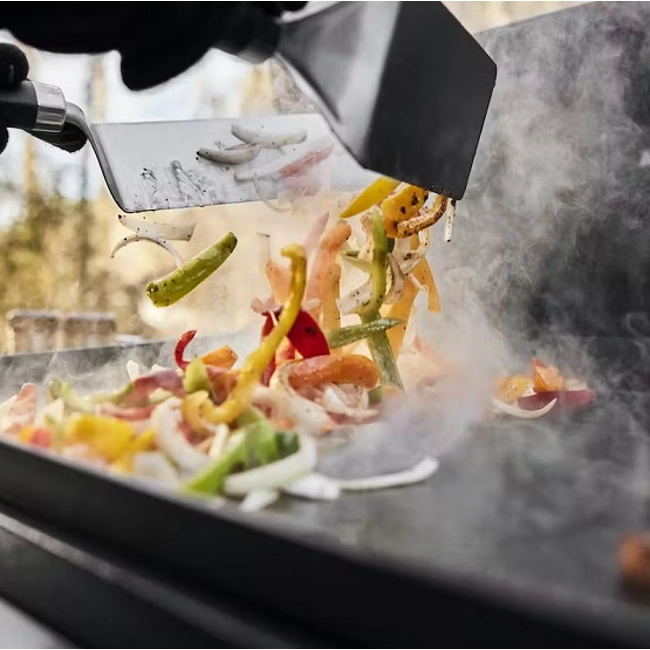 Vendita online Piastra cottura a gas Weber Slate GPD da 76 cm con supporto